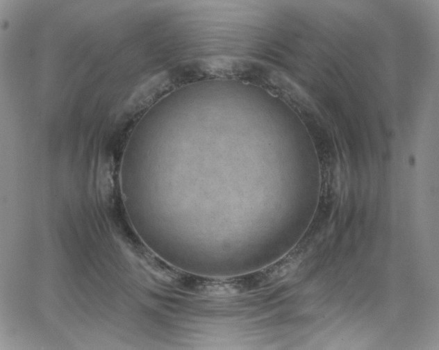 X0000062630702200512211229