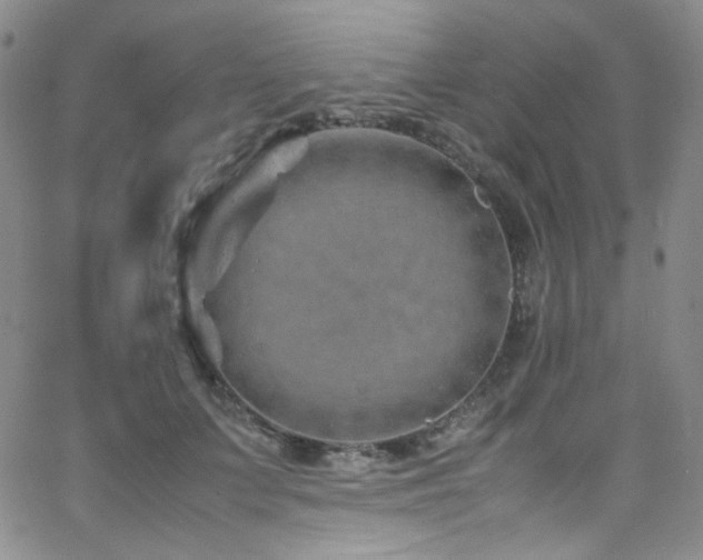 X0000062630703200512211229