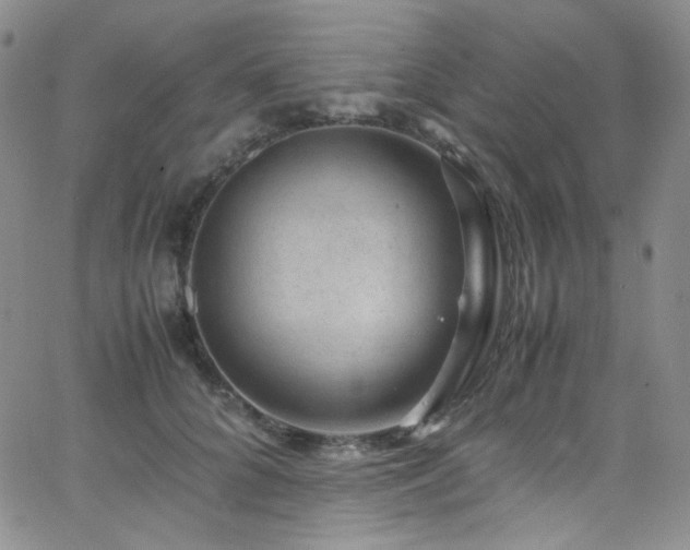 X0000062630704200512211229