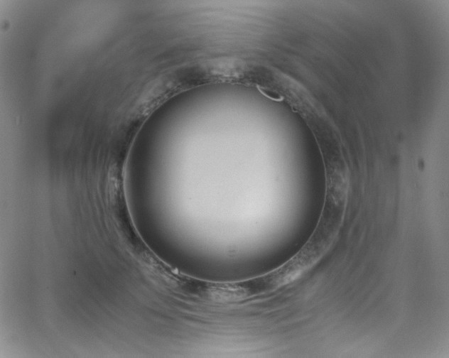 X0000062630707200512211229