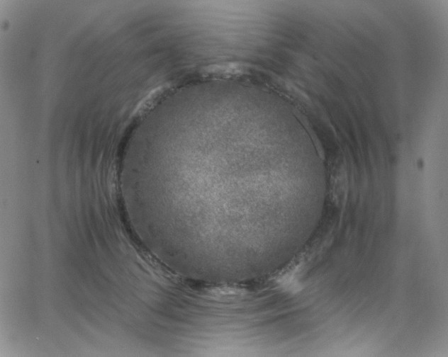 X0000062630708200512211229