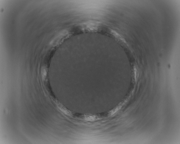 X0000062630709200512211229