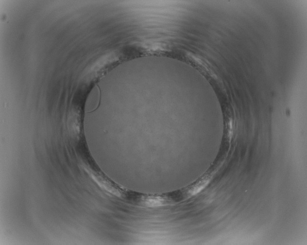 X0000062630710200512211229