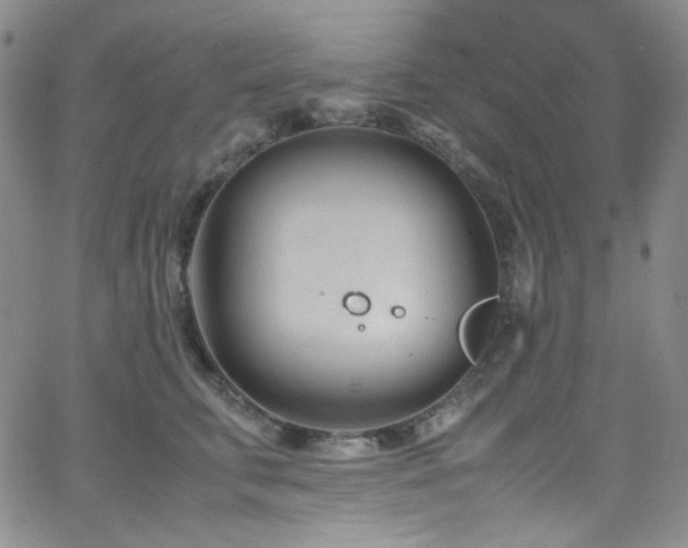 X0000062630711200512211229