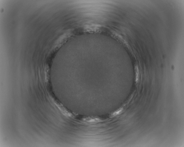 X0000062630712200512211229