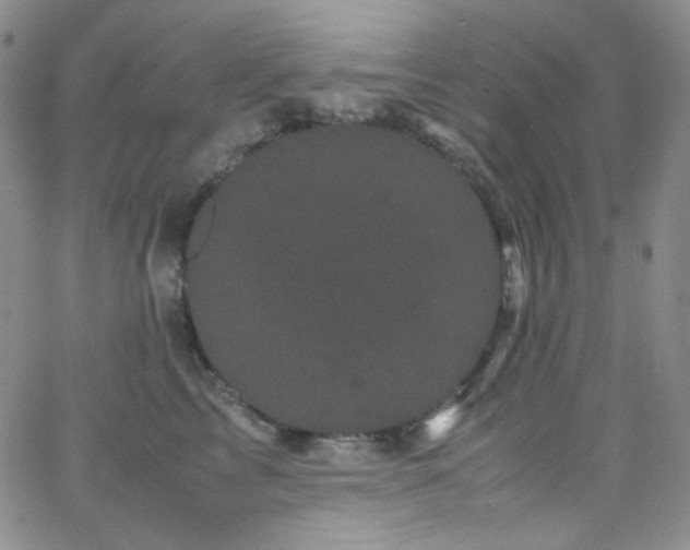 X0000062630713200512211229