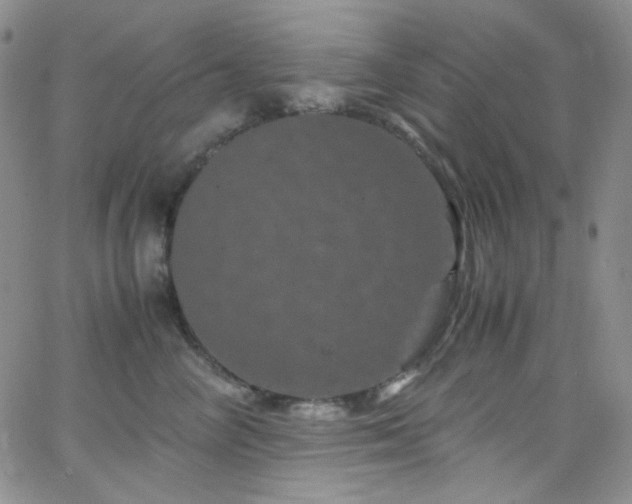 X0000062630714200512211229