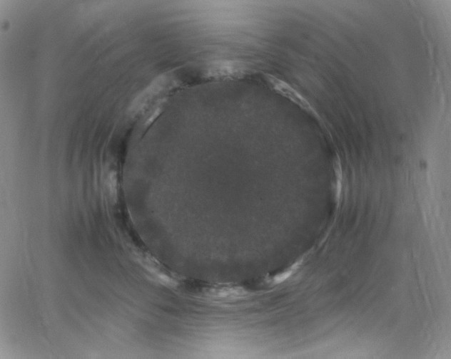 X0000062630716200512211229