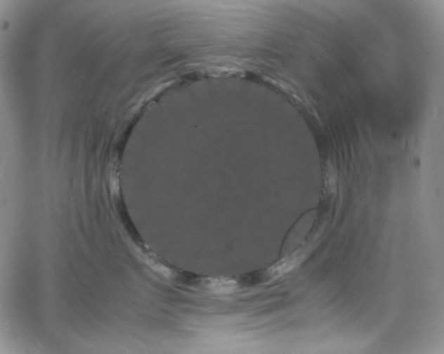 X0000062630719200512211229