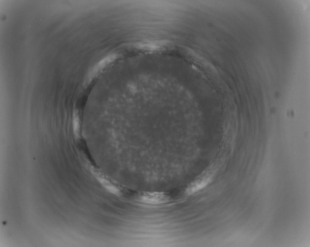 X0000062630720200512211229