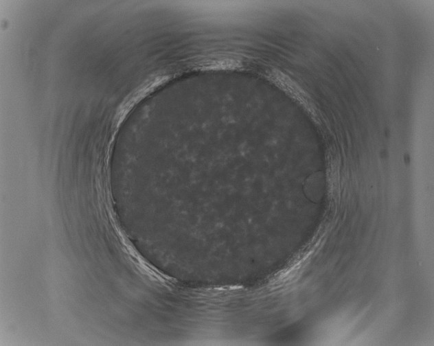 X0000062630721200512211228