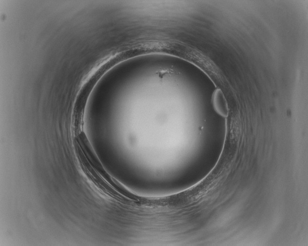 X0000062630722200512211228