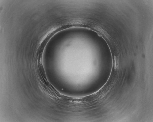 X0000062630723200512211228