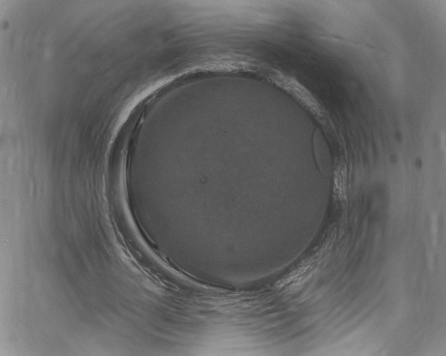 X0000062630724200512211228