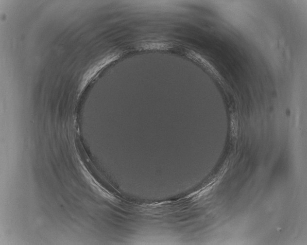 X0000062630725200512211228