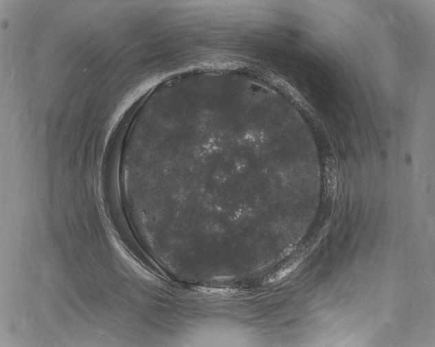 X0000062630726200512211228