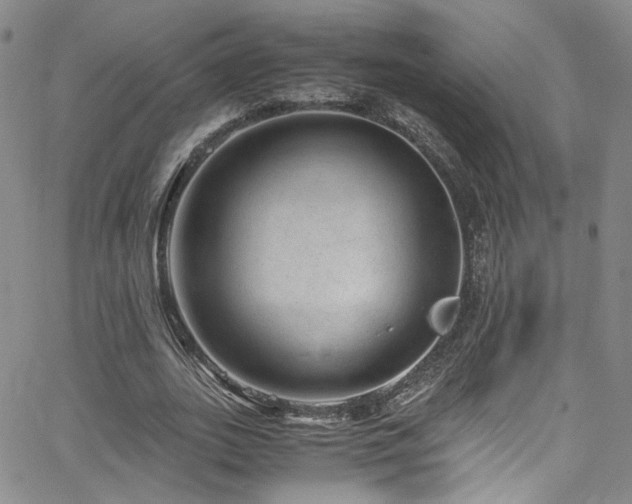 X0000062630727200512211228