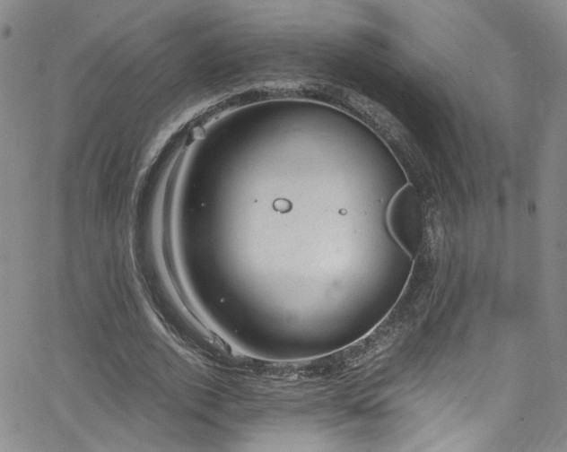 X0000062630728200512211228