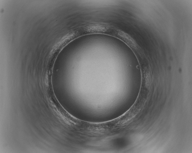 X0000062630729200512211228