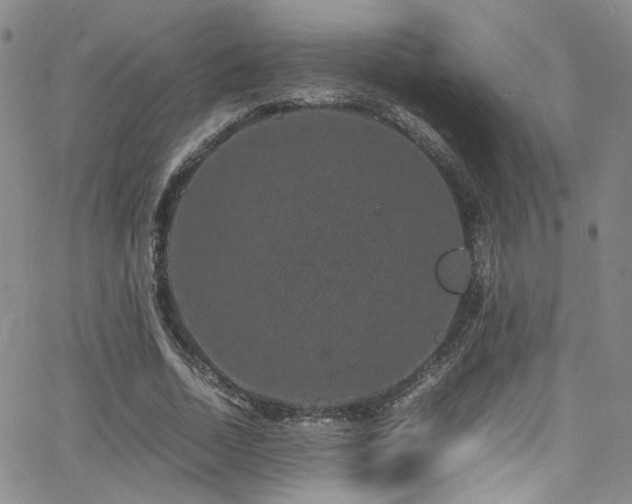 X0000062630730200512211228