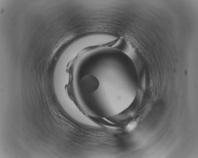 X0000062630731200512211228