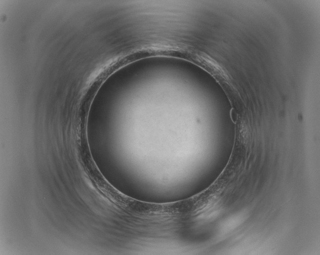 X0000062630732200512211228