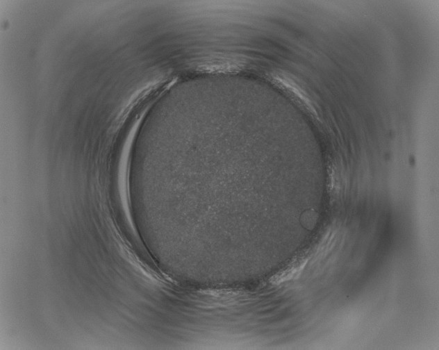 X0000062630733200512211228