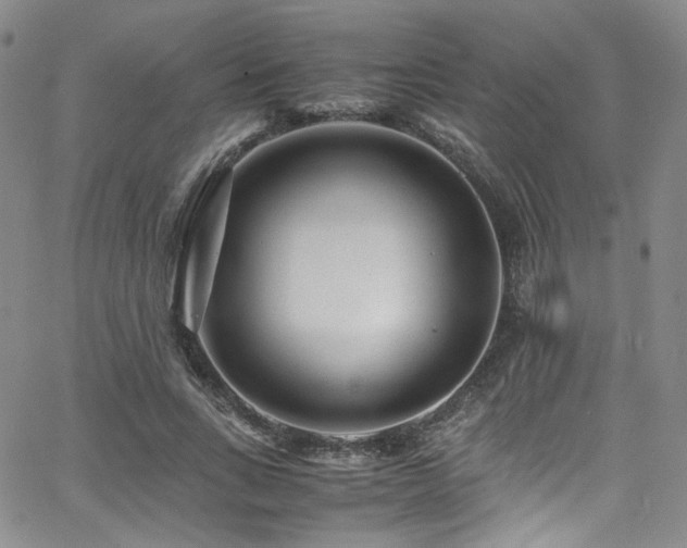 X0000062630735200512211228