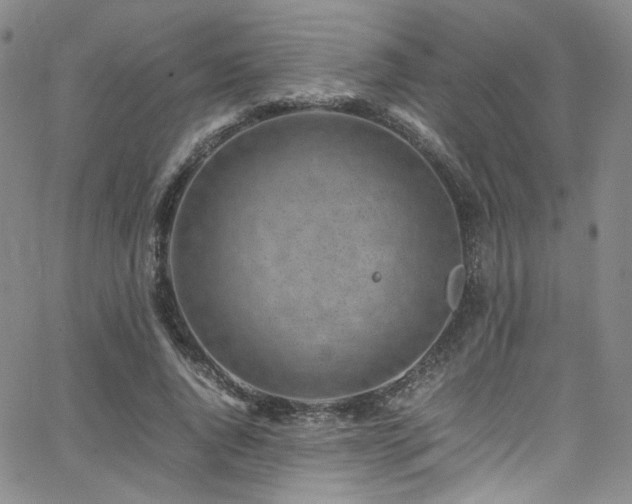 X0000062630736200512211228