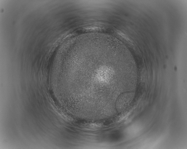 X0000062630737200512211228