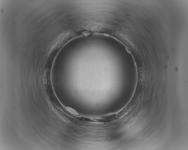 X0000062630738200512211228