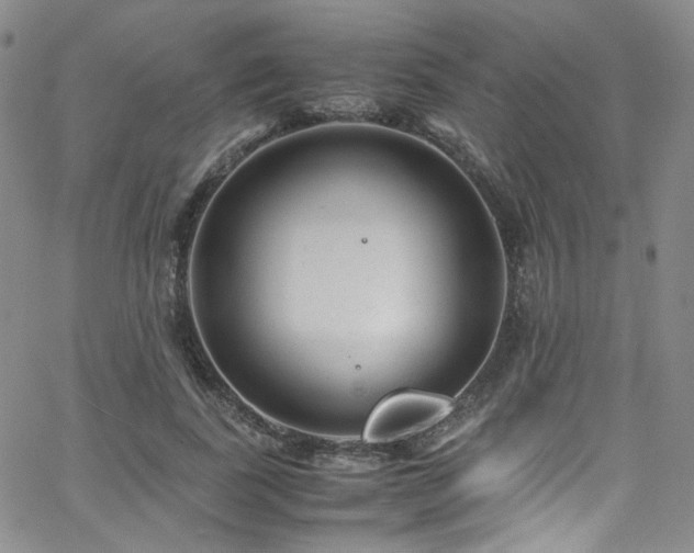 X0000062630739200512211228