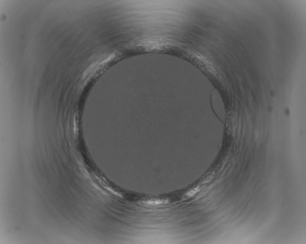 X0000062630740200512211228