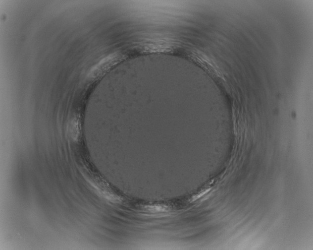 X0000062630741200512211228