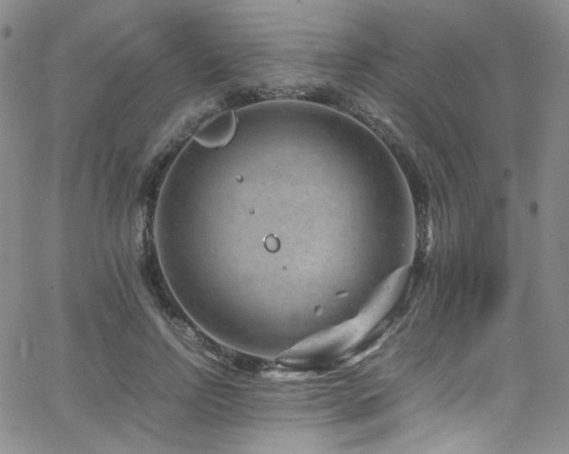 X0000062630742200512211228