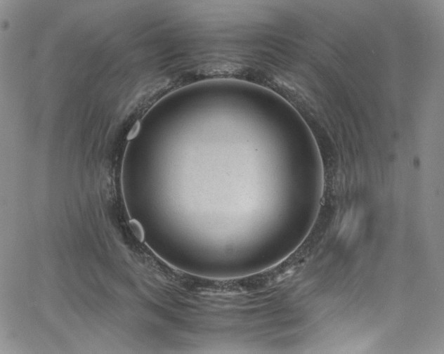 X0000062630743200512211228