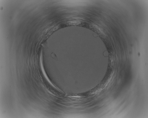 X0000062630745200512211228