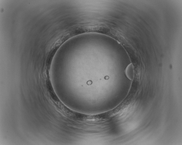 X0000062630746200512211228