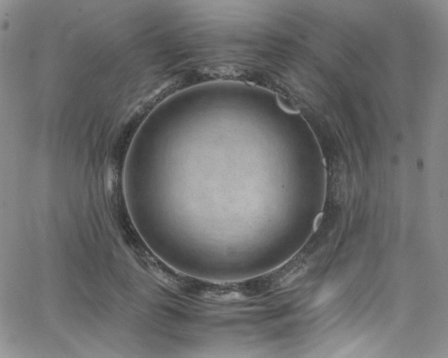 X0000062630747200512211228