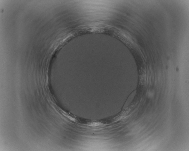 X0000062630748200512211228