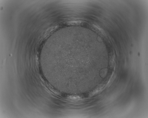 X0000062630749200512211228