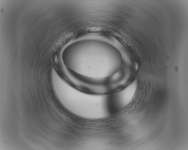 X0000062630750200512211228