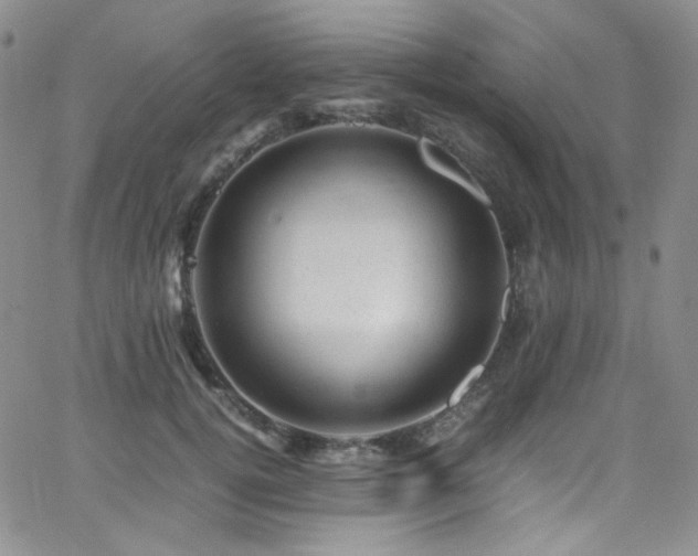 X0000062630752200512211229