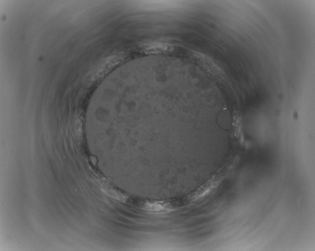 X0000062630753200512211229