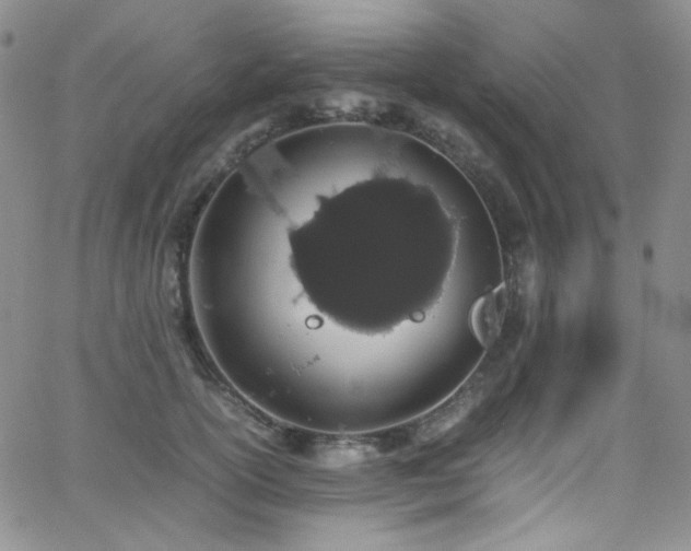 X0000062630754200512211229