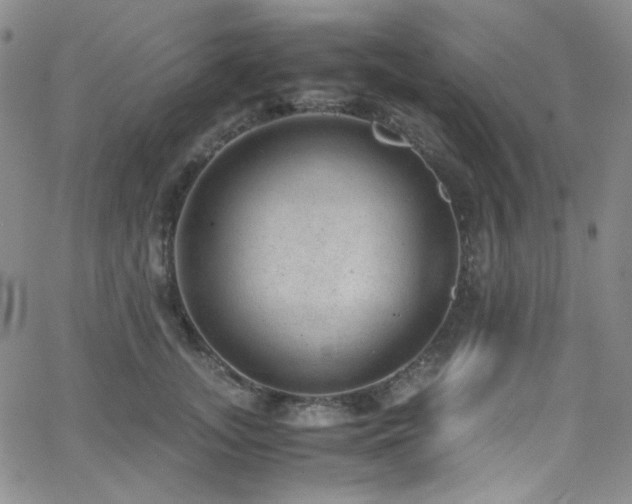 X0000062630755200512211229