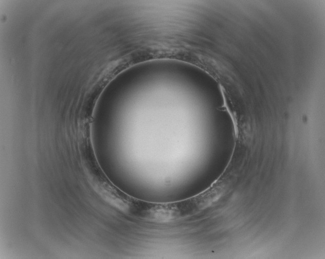 X0000062630756200512211229