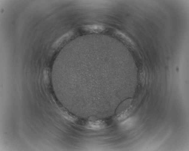 X0000062630757200512211229