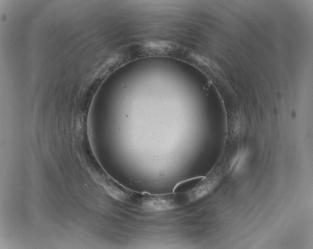 X0000062630759200512211229