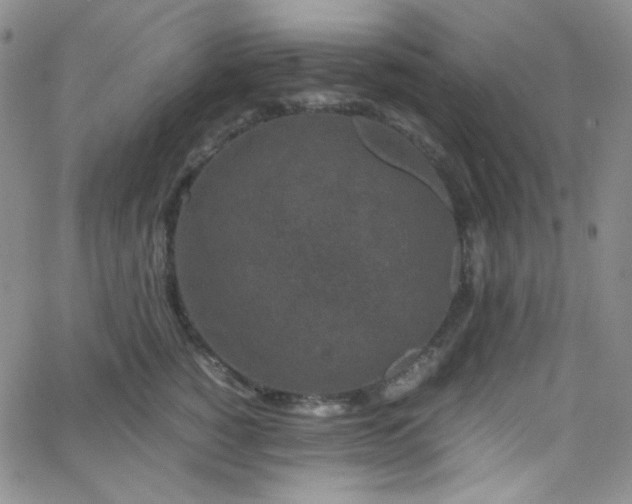 X0000062630760200512211229